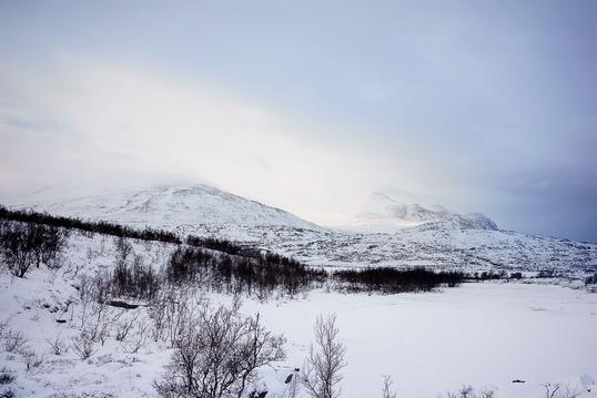 20141116-_DSC5856 20141116-_DSC5856