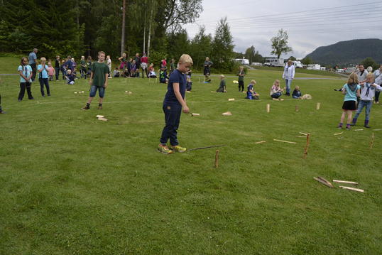 _DSC0208 _DSC0208