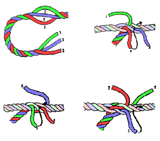 øyespleis øyespleis
