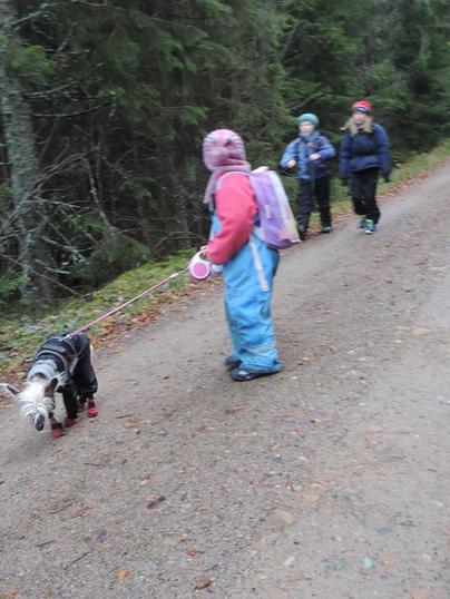 påturmedhund påturmedhund