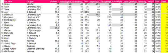 Resultater_ikon Resultater_ikon