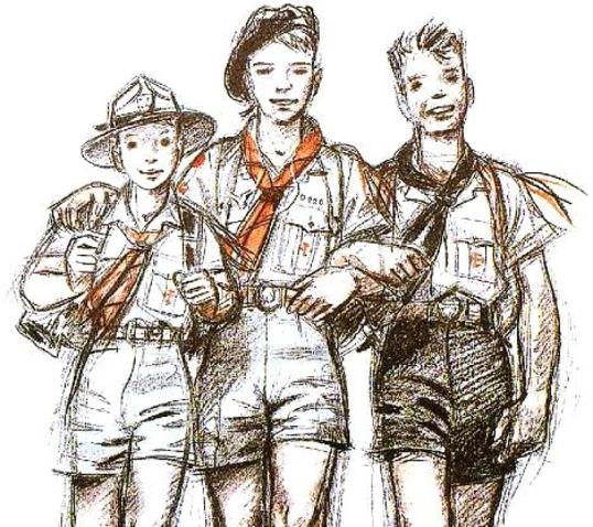 scout scout