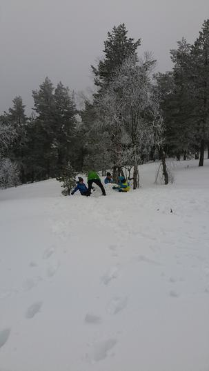 snøballkrig