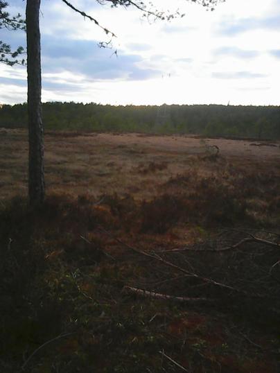Stormåsan Stormåsan