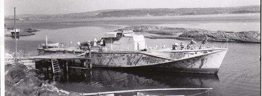 Teist 1959 Teist 1959
