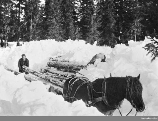 Vinter ringsaker Vinter ringsaker