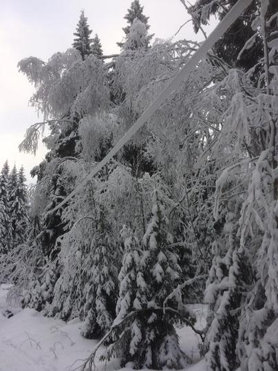 vinter vinter